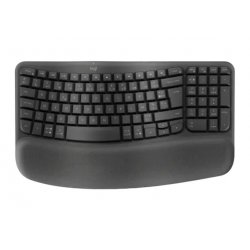 KEYBOARD W/S LOGITECH ERGO US GRAPH