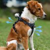 Insta360 Go 3/Go 3S Pet Harness Mount Size S